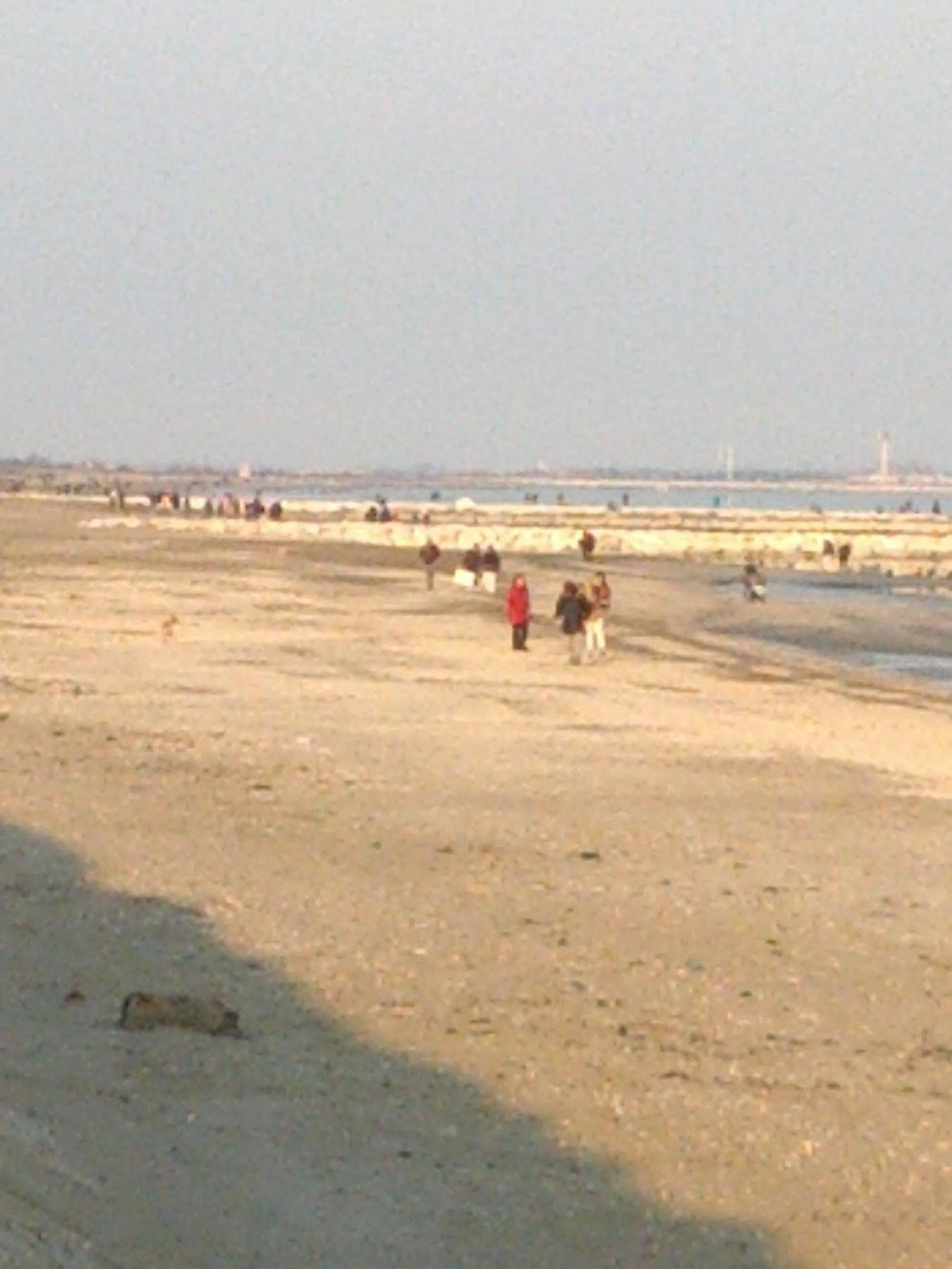 Tiziana Lido de Venise